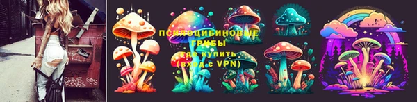 ALPHA PVP Белокуриха