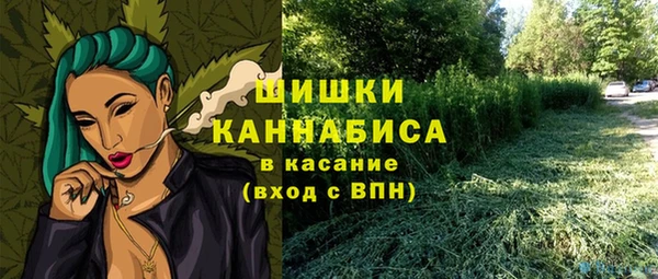ALPHA PVP Белокуриха