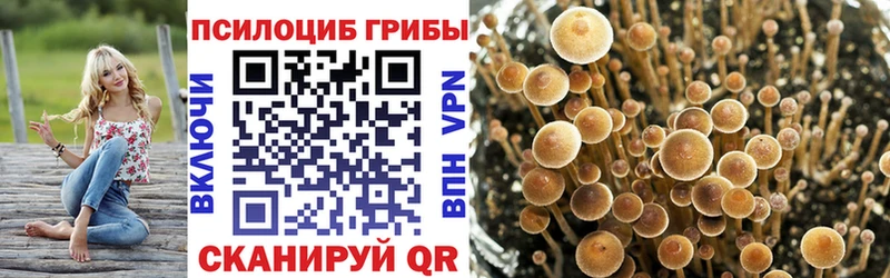 Галлюциногенные грибы мухоморы  Цоци-Юрт 