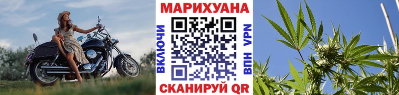 наркотики  Цоци-Юрт  Марихуана планчик 